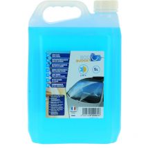 Lave-glace toutes saisons. 5 Litres - budget