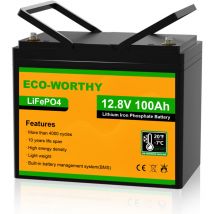 Eco-worthy - 100Ah 12V LiFePO4 Battery Emergency Power Backup Rechargeable Lithium Iron Phosphate with 3000+ Deep Cycles and bms Protection, Perfect
