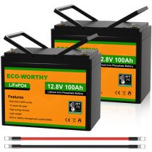 Eco-worthy - 2 x 100Ah 12V LiFePO4 Battery Rechargeable Lithium Iron Phosphate with 3000+ Deep Cycles and bms Protection, Perfect for rv, Boat,