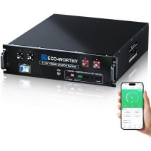 ECO-WORTHY LiFePO4 48V (51.2V) 100Ah Bluetooth, 5.12KWh Lithium Battery with 100A BMS, Solar Server Rack Battery for Complete Solar System Set,