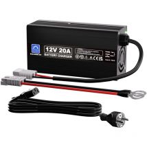 Eco-worthy - 20A LiFePO4 Batterieladegerät 12V/24V, automatisches intelligentes Batterie ladegerät und Wartung für 12V/24V Lithium LiFePo4 Batterie