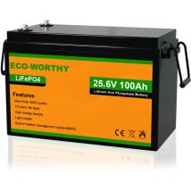 24 v 100 Ah LiFePO4 Batteria al litio ricaricabile con oltre 3000 cicli profondi e protezione bms per impianti solari, camper, barche, case, kit di
