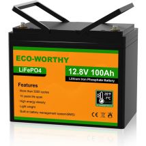 Batteria al litio 12V 100Ah LiFePO4 ricaricabile con oltre 3000 cicli profondi e protezione bms per sistema solare, camper, barca, casa, kit pannelli
