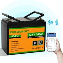 Batterie Lithium 12V 100AH Bluetooth avec Protection de bms et de Basse Température, LiFePO4 Batterie avec 4000 à 15000 Cycles pour Camping Car
