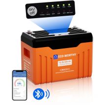 LiFePO4 Bluetooth 300Ah 12V con pantalla, batería de litio 300AH con 200A bms Low Temperature protección y máx. 15000 ciclos, 3840Wh LiFePO4 12V para
