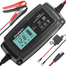 Support de chargeur de batterie 5A 12V pour moto de voiture de batterie au plomb LiFePO4 - Eco-worthy