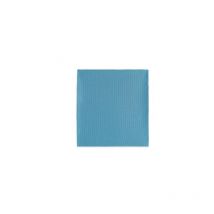 Ecolimpia Chiffon microfibre spécial salle de bain bleu (50x40cm)