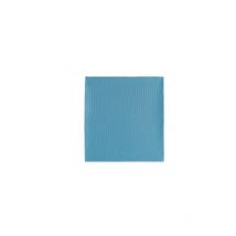 Ecolimpia Spezielles Mikrofasertuch für Badezimmer in Blau (50x40cm)