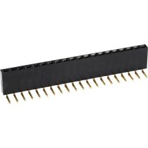 Barrette femelle (standard) Nbr de rangées: 1 Nombre de pôles par rangée: 12 BLW1X12 1 pc(s) W052871 - Econ Connect