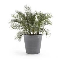 Grand pot sur roues Amsterdam 60 Gris - ø 60 x h. 56 cm - 100 l - Ecopots