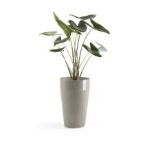 Pot Haut Sankara 55 Taupe - ø 35 x h. 55 cm - 36 l - Ecopots