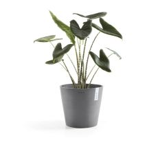 Ecopots - Pot Rond Amsterdam 30 Gris + réservoir d'eau - ø 30 x h. 26,3 cm - 12,8 l