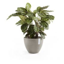 Pot Rond Antwerp 40 Taupe - ø 40 x h. 30 cm - 25 l - Ecopots