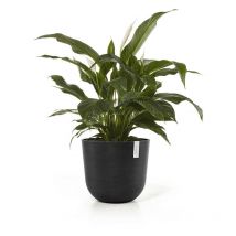 Pot Rond Oslo 45 Gris Foncé + réservoir d'eau - ø 45 x h. 39,2 cm - 46,6 l - Ecopots