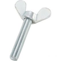 BTS - crou à oreilles din 316 gt galZn M6x30 hp (Par 100)