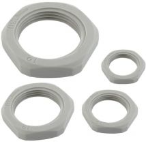 BLM - ecrou presse étoupe - en polyamide - pg48 din - gris distribution 102482