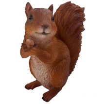 Ecureuil noisette