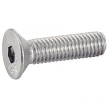 Schraube Mit Innensechskant, Senkkopf - Edelstahl A4 10x25 Mm - 100 Stück In Der Box
