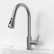 Coree - Edelstahl-Küchenarmatur mit ausziehbarer Schwanenhals-Sprühdüse, 360° drehbar, 2 Strahlarten & gebürsteter Oberfläche (304 Edelstahl)