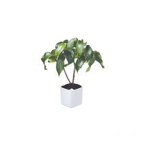 Orthex - eden plantenpot wit 20X20X21 cm - 5 l 54110 (6)