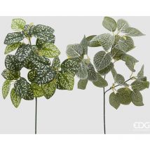 Potus Ramo H60 White Green