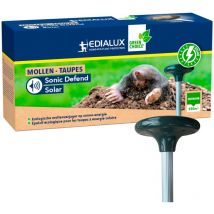 Edialux - Solar maulwurf vertreiber für den garten, umweltfreundlicher maulwurfschreck mit vibration und ultrasonisch, maulwurfabwehr outdoor,
