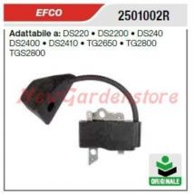 Kettensägen-Zündspule DS220 DS2200 DS240 2501002R - Efco