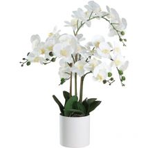Eglo Living - Kunstpflanze Hyuga, künstliche Zimmerpflanze im Topf, naturgetreue Deko Pflanze für Wohnzimmer, Orchidee aus Kunststoff in Weiß, 65 cm