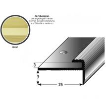 Einschubprofil 'Eyeries' mit Nase für Designbeläge, Einfasshöhe 3 mm, Aluminium eloxiert, gebohrt-goldfarbig-1000