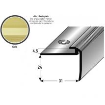 Einschubprofil 'Kilkenny' mit Nase für Designbeläge, Einfasshöhe 5 mm, Aluminium eloxiert, gebohrt-goldfarbig-1000