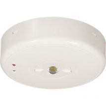 B-safety - BL550038 Sicherheitsleuchte Deckenaufbaumontage