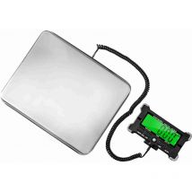 Ej.life - Balance Colis, 200kg/0.05g Haute Précision Pese Colis , Balance D'expédition Acier Inoxydabl Pour Colis, Bagages, Entrepôt, Balance Postale