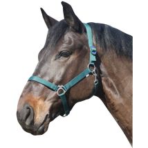 Eldorado Pferde-halfter Standard - Grün - Pony