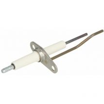 Electrode d'ionisation