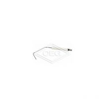 Electrode d'ionisation