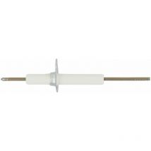 Electrode d'ionisation
