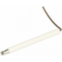 Electrode d'ionisation