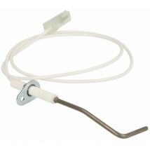 Electrode d'ionisation