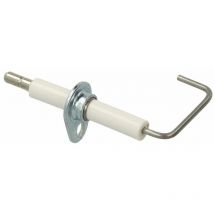 Electrode d'ionisation