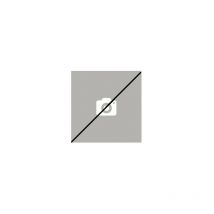 Electrode ionisation