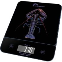 Electronique Little Balance 8710