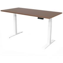 Elektrischer Schreibtisch - 160x80 Cm - Dual Motor - Weiß / Eiche Dunkel