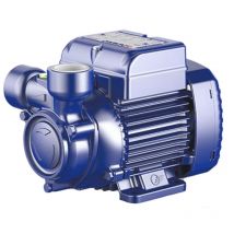 Elektro Pumpe Schaufelrad Gerät Pedrollo PQ65 PEDROLLO Pumpenkörper Gusseisen