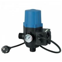 Elektronischer Regler für Oberflächenwasserpumpe