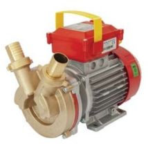 Elettropompa in bronzo bisenso da travaso Rover 30 ce 75 lt./min 1 pezzi Rover