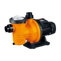 Elettropompa per Piscina hp 1 Pompa con prefiltro Monofase 750 w 230 v