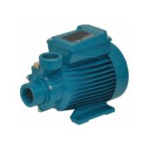 Calpeda - Elettropompa pompa motore acqua ctm60/a periferica monofase