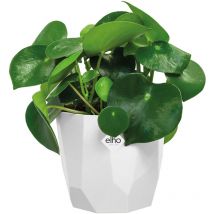 Elho - Macetero para Balcón 13x15cm Jardinera para barandilla flores plantas capacidad 1,5L Redondo