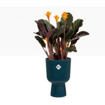 Elho Vibes Fold Coupe Tall Pot 14cm Deep Blue - Pack (4)