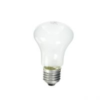 EL23002 - Ersatzbirne für Einstelllicht - 100 w - Elinchrom